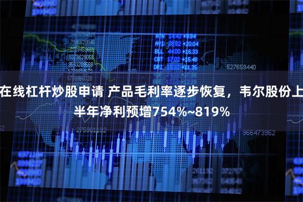 在线杠杆炒股申请 产品毛利率逐步恢复，韦尔股份上半年净利预增754%~819%